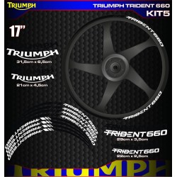 TRIUMPH TRIDENT 660 Kit5