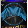 TRIUMPH SPEED TWIN Kit2