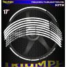 TRIUMPH THRUSTON RS Kit2