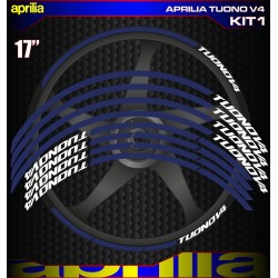 APRILIA TUONO V4 Kit1