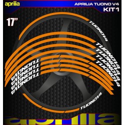 APRILIA TUONO V4 Kit1