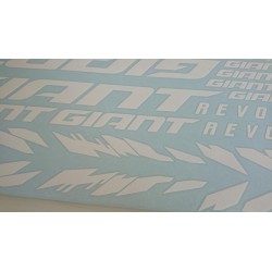 GIANT REVOLT Kit1