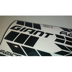 Giant Reign kit1