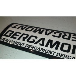 Bergamont kit1