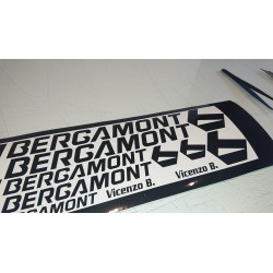 Bergamont kit1