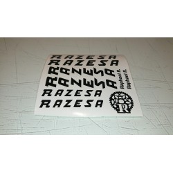 Razesa kit2