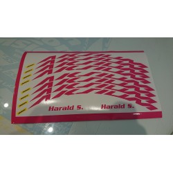 MAVIC AKSIUM DISC KIT1