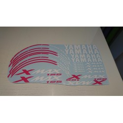 YAMAHA XMAX 125 Kit2