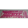 Giant Glory kit1