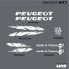 Peugeot kit2