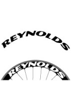 Reynols 