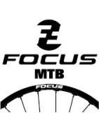 Focus llantas MTB 