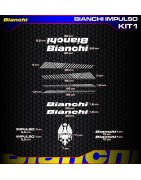 stickers, stickers, decals, stickers for Bianchi Impulso bikes, FREE SHIPPING